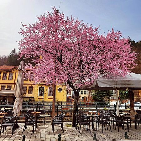 Center River Apartment Florina Luaran gambar